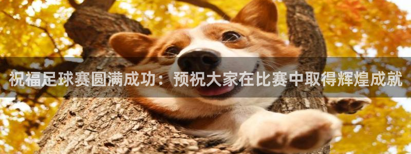 祝福足球赛圆满成功：预祝大家在比赛中取得辉煌成就
