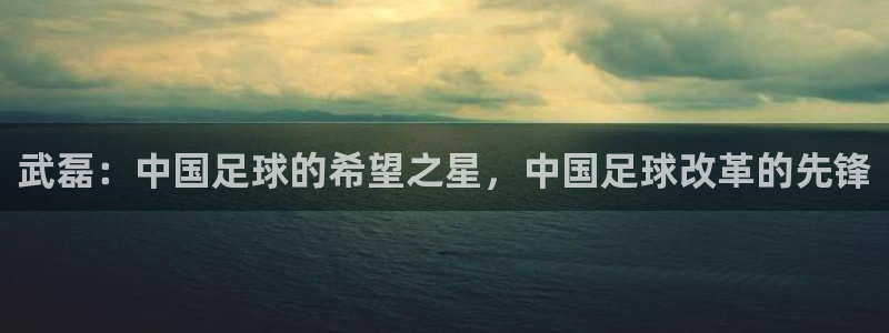 武磊：中国足球的希望之星，中国足球改革的先锋