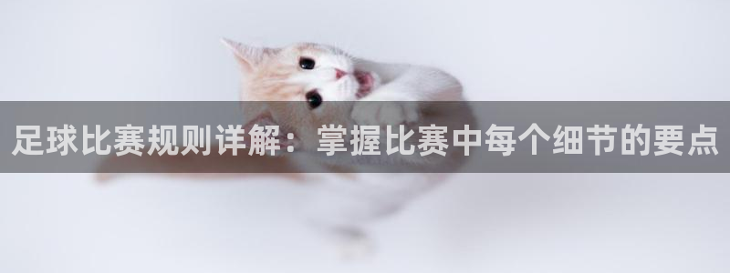 足球比赛规则详解：掌握比赛中每个细节的要点