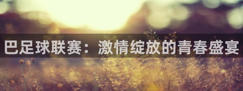  巴足球联赛：激情绽放的青春盛宴