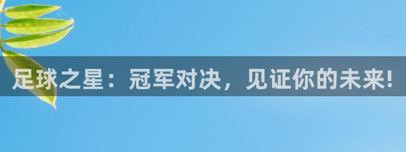 足球之星：冠军对决，见证你的未来!