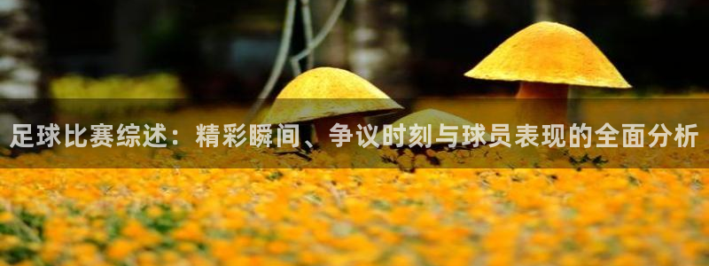足球比赛综述：精彩瞬间、争议时刻与球员表现的全面分析
