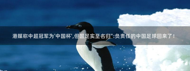  港媒称中超冠军为\'中国杯\',但国足实至名归\