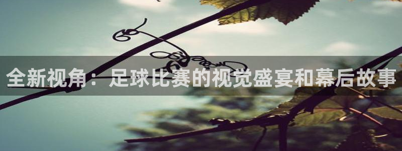  全新视角：足球比赛的视觉盛宴和幕后故事