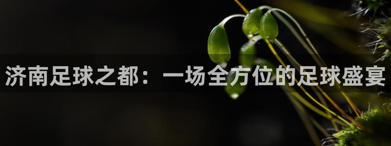  济南足球之都：一场全方位的足球盛宴