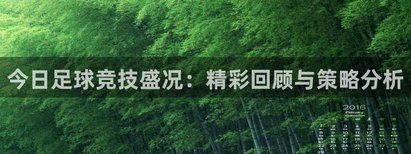 今日足球竞技盛况：精彩回顾与策略分析