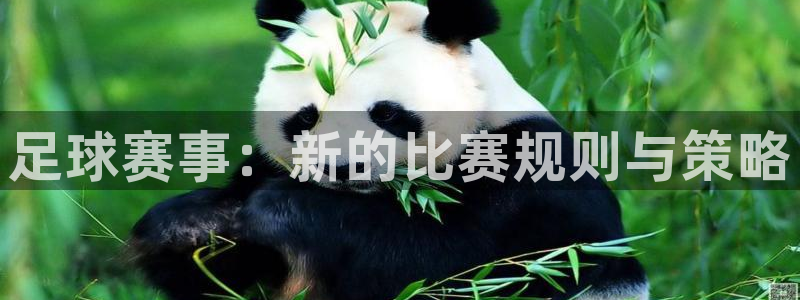 足球赛事：新的比赛规则与策略