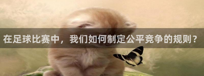 在足球比赛中，我们如何制定公平竞争的规则？