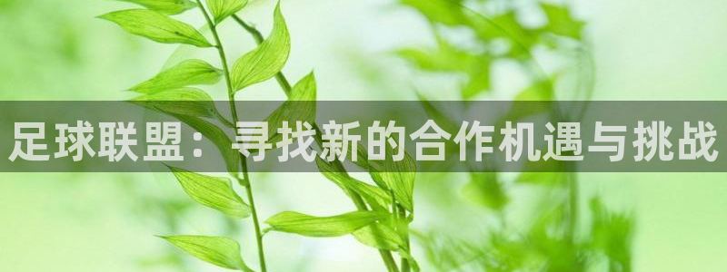 足球联盟：寻找新的合作机遇与挑战
