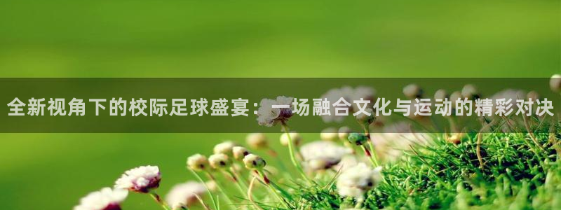 全新视角下的校际足球盛宴：一场融合文化与运动的精彩对决