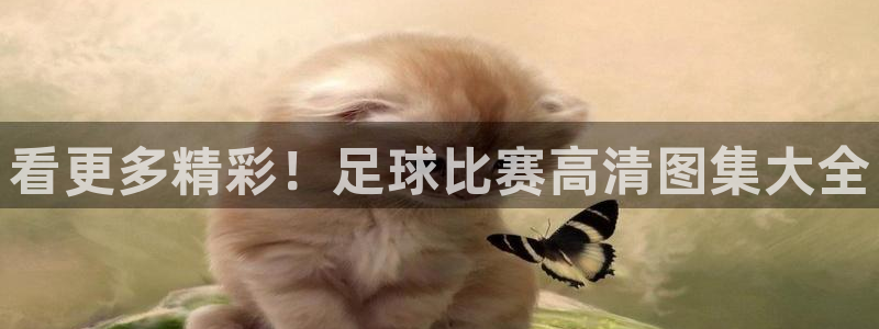  看更多精彩！足球比赛高清图集大全
