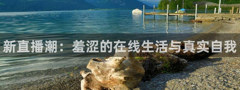 51视频在线直播nba