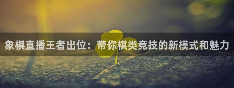 51视频在线直播nba：象棋直播王者出位：带你棋类竞技的新模式和魅力
