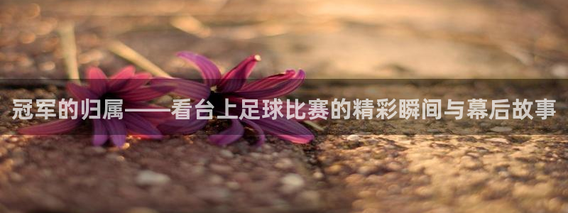 冠军的归属——看台上足球比赛的精彩瞬
