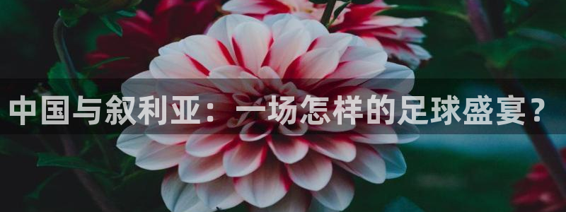 中国与叙利亚：一场怎样的足球盛宴？