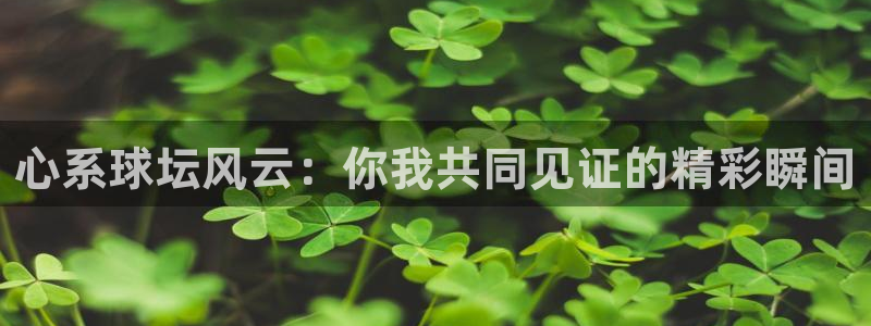 心系球坛风云：你我共同见证的精彩瞬间