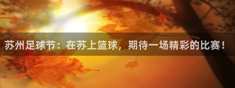苏州足球节：在苏上篮球，期待一场精彩
