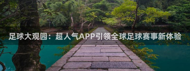 足球大观园：超人气APP引领全球足球