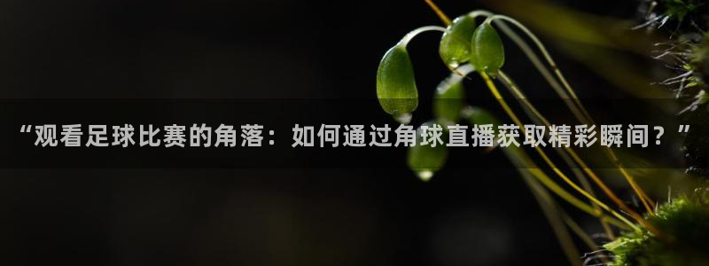 “观看足球比赛的角落：如何通过角球直