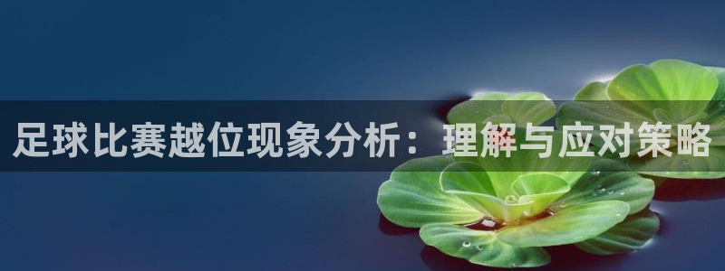 足球比赛越位现象分析：理解与应对策略