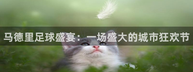 马德里足球盛宴：一场盛大的城市狂欢节