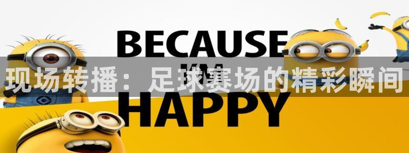 现场转播：足球赛场的精彩瞬间