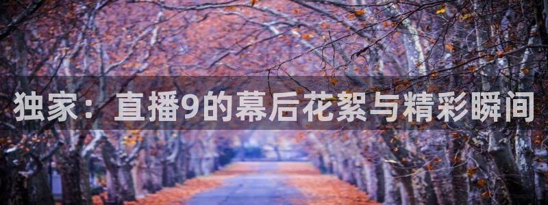 51视频在线直播nba：独家：直播9的幕后花絮与精彩瞬间