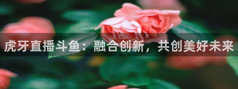 51视频在线直播nba：虎牙直播斗鱼：融合创新，共创美好未来