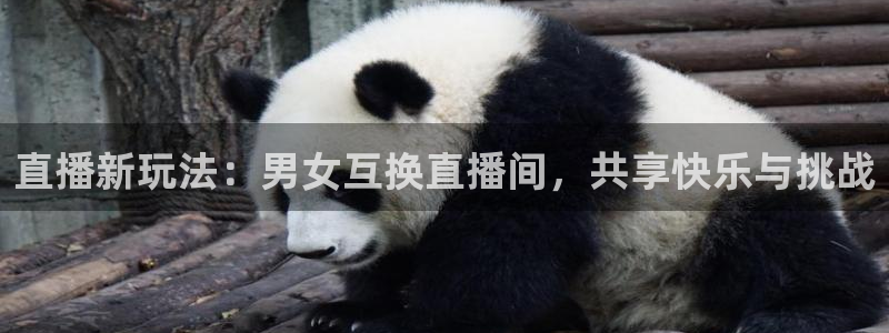 51视频在线直播nba：直播新玩法：男女互换直播间，共享快乐与挑战